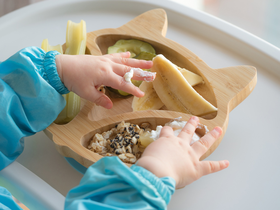 Le choix des aliments et leur introduction